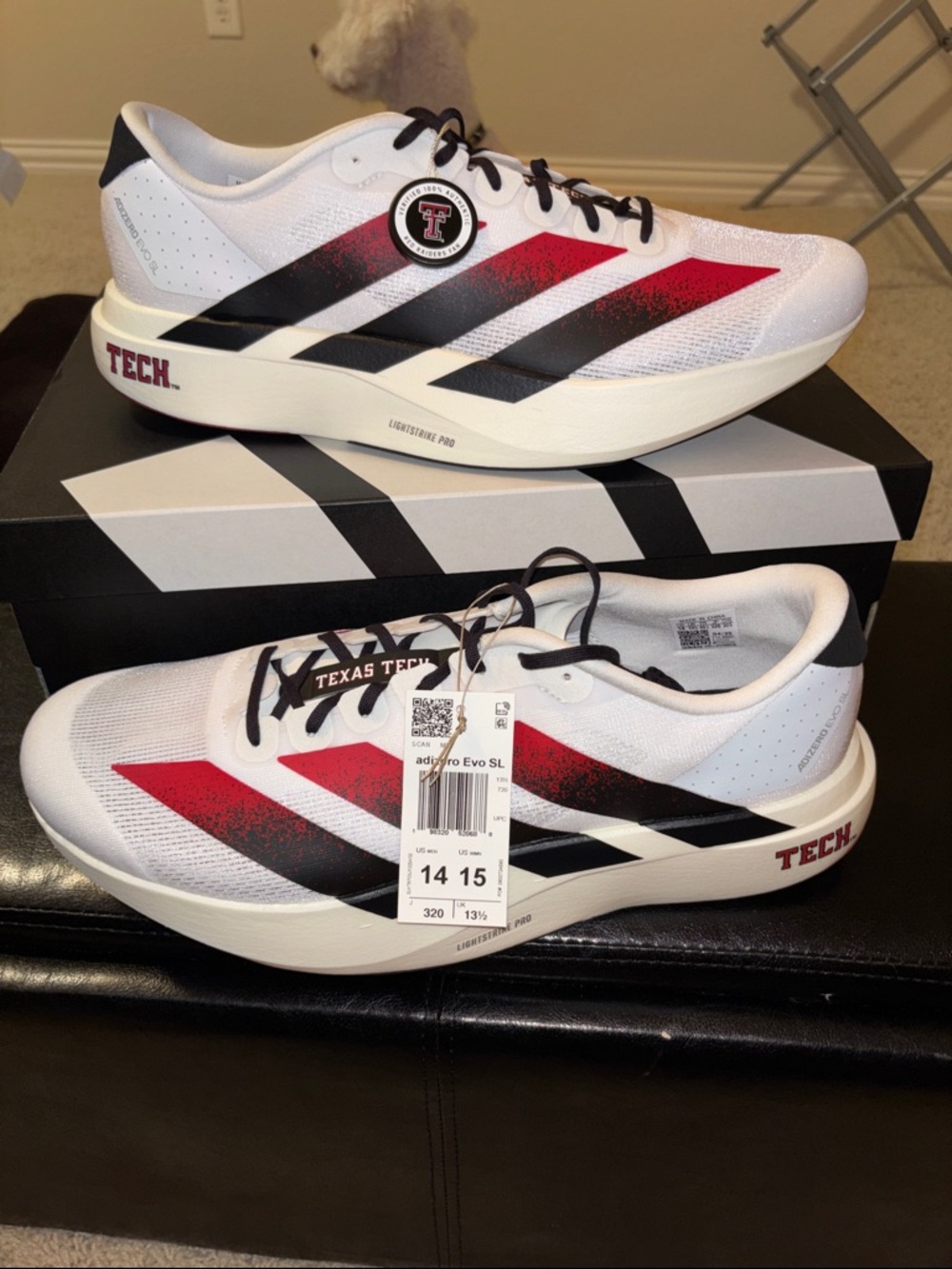 Adidas Adizero Evo SL Texas Tech